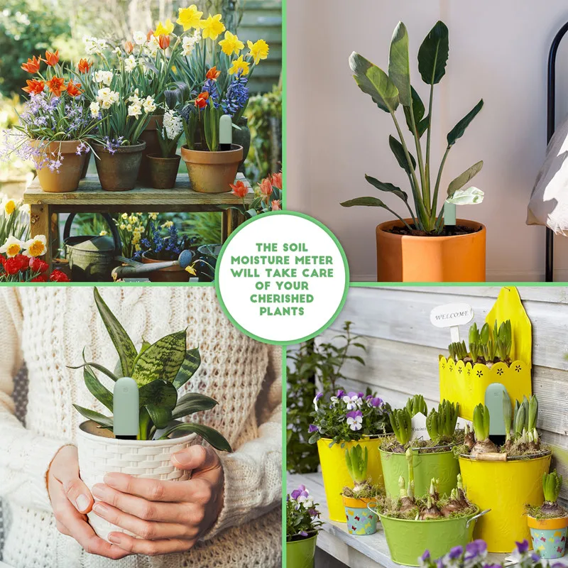 HHCC-Monitor inteligente para el cuidado de las flores de Xiaomi, Sensor para medir la fertilidad del agua y el suelo, Detector de jardinería y flores para Mijia - imagen 5