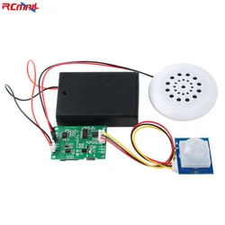 Módulo MP3 PIR grabación voz, reproducción audio con USB y tarjeta TF