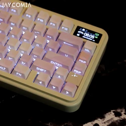 Teclas PBT Moradas Doble Disparo Cherry Perfil Mecánico RGB