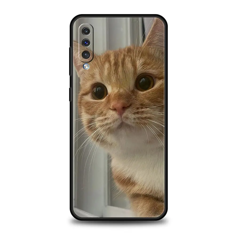 Funda divertida de dibujos animados para perros y gatos, funda para Samsung A54 A52 A24 A14 A50 A70 A10 A30 A40 A20S A20E A06 A12 A22 A34 A42 A32 5G A04s A16 - imagen 3