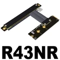 R43NR