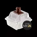 MX2A Brown