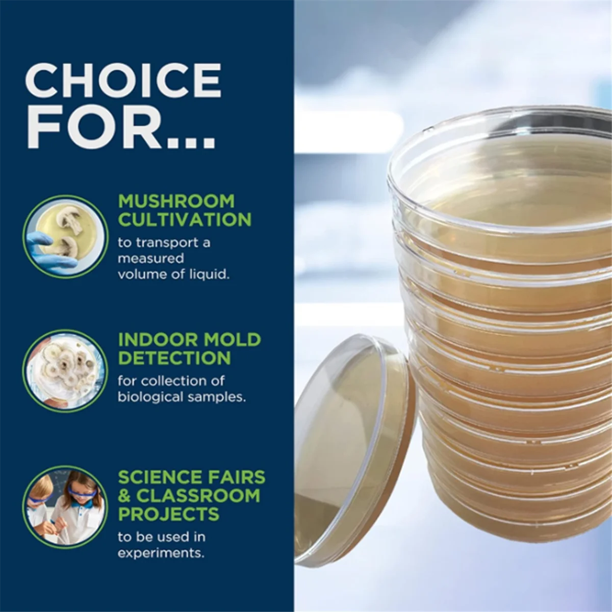 Placa de Petri de ágar Dextrose de patata, placa de Petri bacteriana para setas, kit de prueba casera o proyecto de juerga científica, 10 Uds. - imagen 5