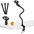 Microphone Holder