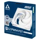 P12  PWM PST white