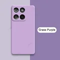 Grass Purple