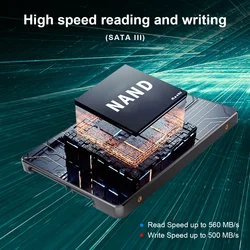 Kingchuxing SSD mSATA 256GB-2TB Interno Alta Velocidad