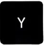 Y