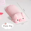 Pink Pig