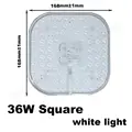 Square 36W