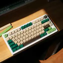 Teclas PBT de doble disparo de 170 teclas, teclas de teclado de colores mezclados con perfil SA para interruptores Cherry MX, teclado mecánico para jugadores