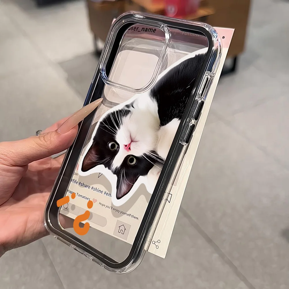 Funda de teléfono 2 en 1 de Color caramelo para iPhone 17 Pro Max 13 16 11 15 14 12 Air 17promax suave TPU transparente gato Animal Funda - imagen 2