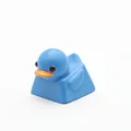 Blue Duck