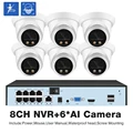 8CH NVR 6 AI Camera