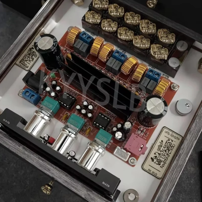 KYYSLB 100W + 5*50W 2,1 Placa amplificadora HIFI de alta potencia Audio en casa TPA3116D2 Amplificador Digital de sonido profesional - imagen 5