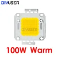 100W Warm White