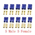 5 Male 5 Female
