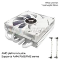 AMD-White