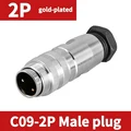 C09-Male 2P