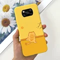 case-c25