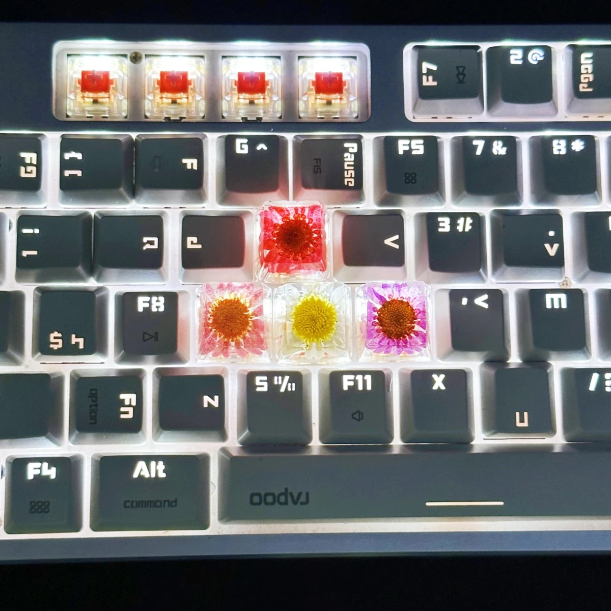 Teclas de Teclado mecánico de crisantemo, flor seca, bricolaje - imagen 4