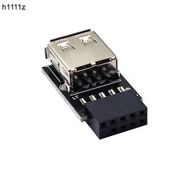 Adaptador USB 2.0 9 pines hembra para placa base