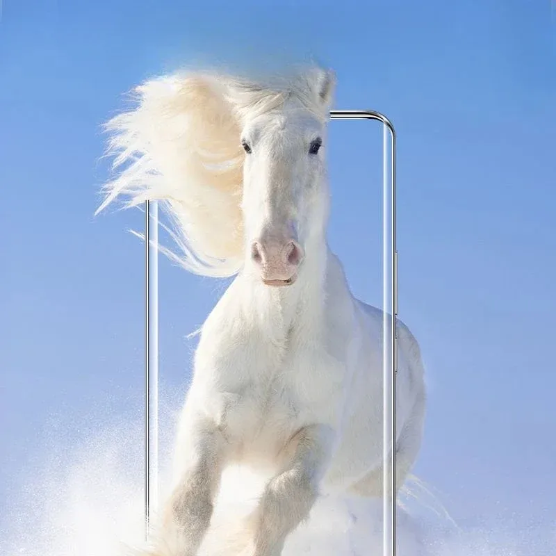 Para Honor 200 Pro 3D cubierta completa Protector de pantalla de vidrio templado Honor200 200Pro 9H cubierta de película protectora transparente - imagen 5