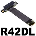 R42DL