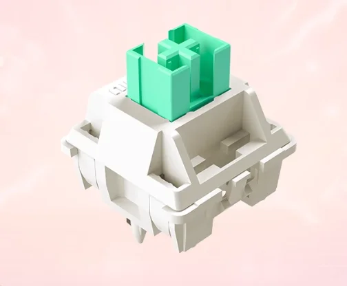 Cream Green Pro10pcs