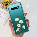 case-c62