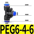 PEG6-4-6