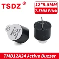 10pcs TMB12A24