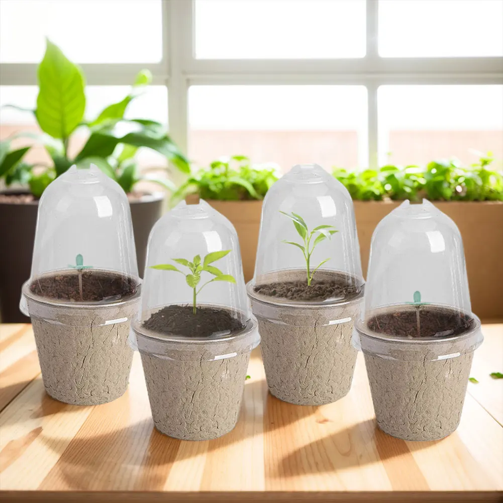 Taza de plántulas con tapa transparente, caja de cría de invernadero, taza de cultivo de plantas biodegradable, versátil para jardinería, 10 Uds. - imagen 3
