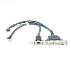Cable Interno USB 2.0 FireWire 9 Pines para Placa Base Doble Puerto