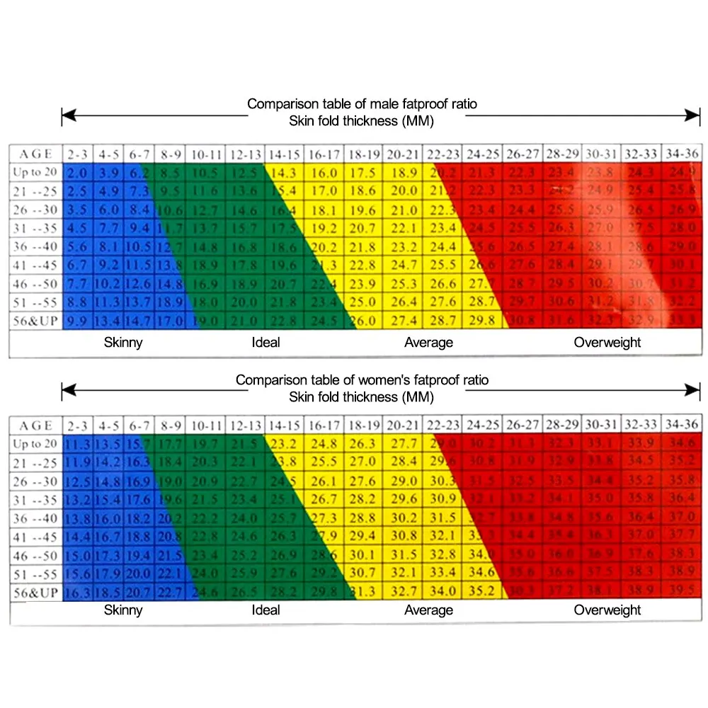 Analizador de medidor de grasa corporal de 0-80mm, pinza de calibre sebum, cinta de medición de instrumentos de prueba - imagen 4