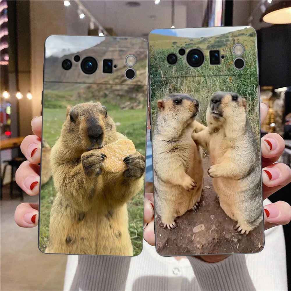 Funda de teléfono marmot para Google Pixel 9 8 7 6 Pro XL 8A 6A 7A 5G suave a prueba de golpes TPU cubierta negra Fundas - imagen 2