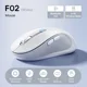 F02 Mouse White