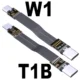 W1-T1B