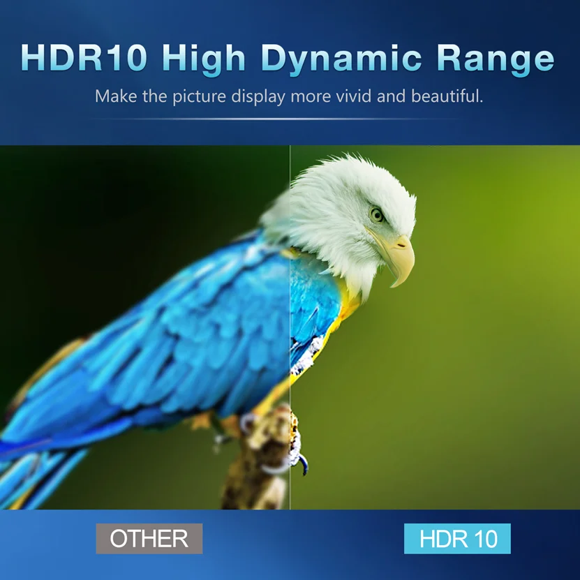 ATV Q1 H313 Quad Core Dual Wifi AndroidTV 11 TV Box 8GB 16GB 2.4G/5G BT5.2 Set Top Box reproductor multimedia - imagen 5