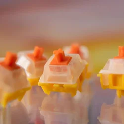 Gateron EF Curry – Interruptor Mecánico Lineal Lubricado de Fábrica