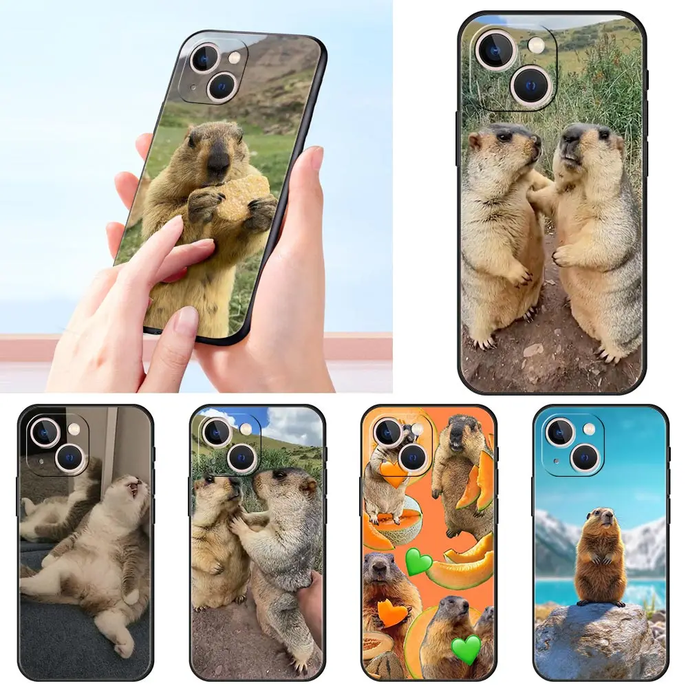 Funda de teléfono de lujo marmot para Apple iPhone 16 11 15 14 Pro MAX 12 13 7 8 Plus X XR XS SE funda negra de silicona