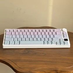 Teclado mecánico PBT perfil Cherry MX – Color degradado Sub Shine