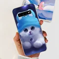 case-c02