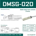 DMSG-020