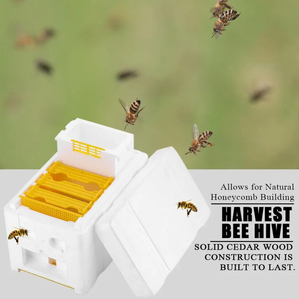 Una caja blanca con abejas