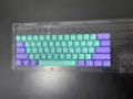 Purple Cyan 61 Key