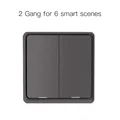 2 Gang Gray
