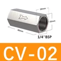 CV-02