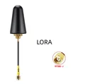 RPSMAM-LORA