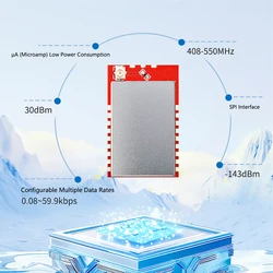PAN3029+LAN Módulo inalámbrico ChirpIoT antena dual alta potencia